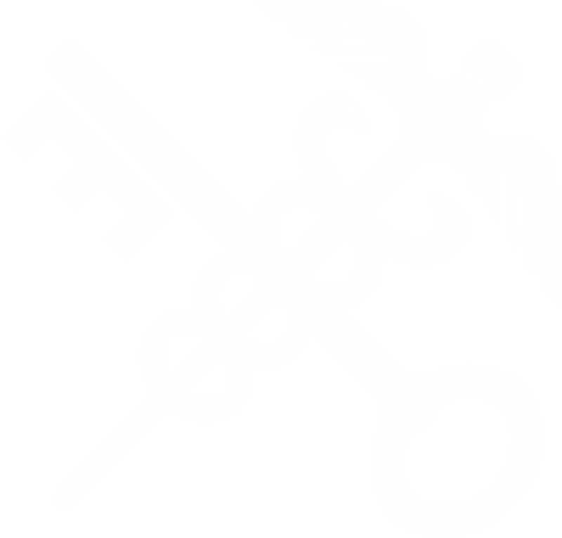 清关等特色服务